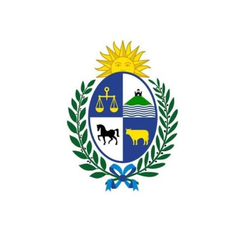 WhatsApp Image 2026-01-19 at 11.39.11 AM